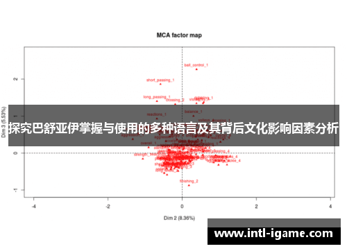 探究巴舒亚伊掌握与使用的多种语言及其背后文化影响因素分析