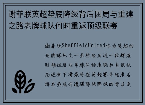 谢菲联英超垫底降级背后困局与重建之路老牌球队何时重返顶级联赛